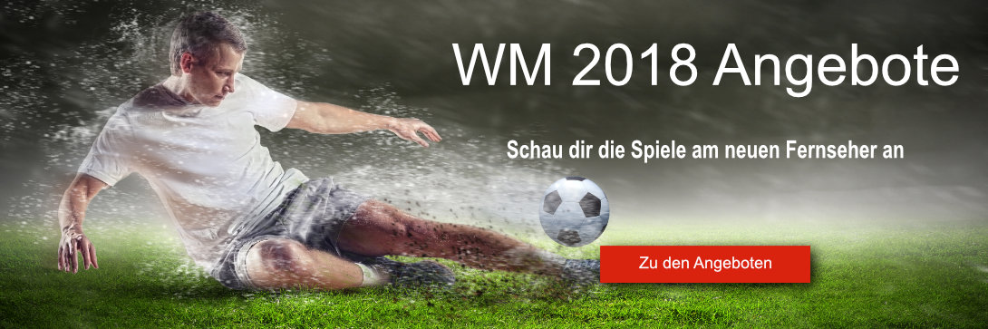 WM 2018 Angebot